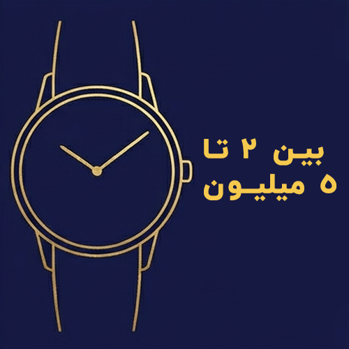 بین 2 تا 5 میلیون تومان